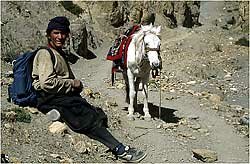Tsering and his horse who were hired by one of the group for the journey