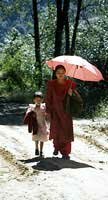 Strolling in the noon day sun -Sikkim